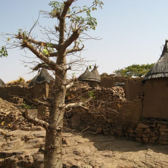 iMali 2007 Dogon_0029